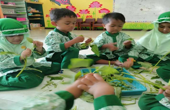 Kegiatan Memetik Kangkung Memiliki Banyak Manfaat