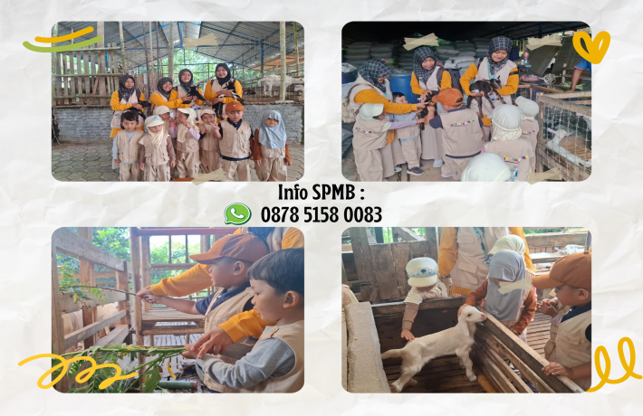 Special Moment Kelompok Bermain Bermain Shaun di Peternakan Kambing