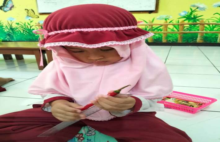Belajar Mengukur Panjang dengan Penggaris